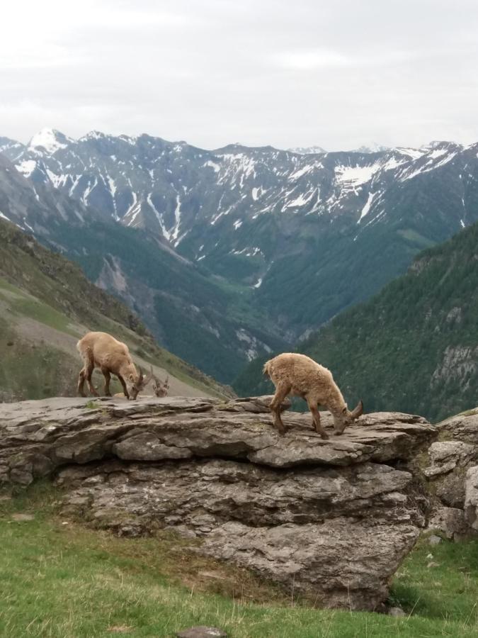 Vacances à la montagne Saint-Julien-en-Champsaur Exterior foto